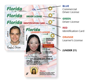 licencia-de-conducir-florida