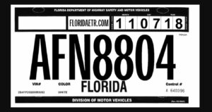 placas temporales en florida